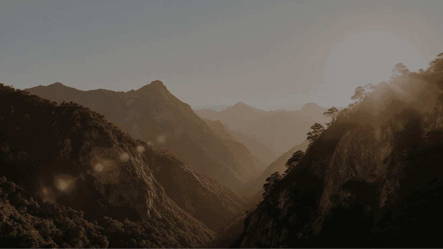 Image without alt
